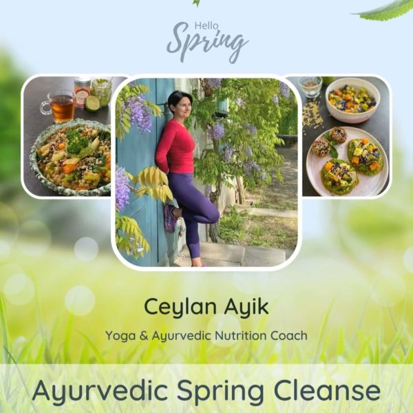 Ayurvedic Spring Cleanse Book cover