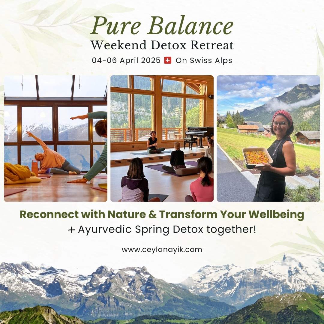 Pure Balance Retreat 2025
