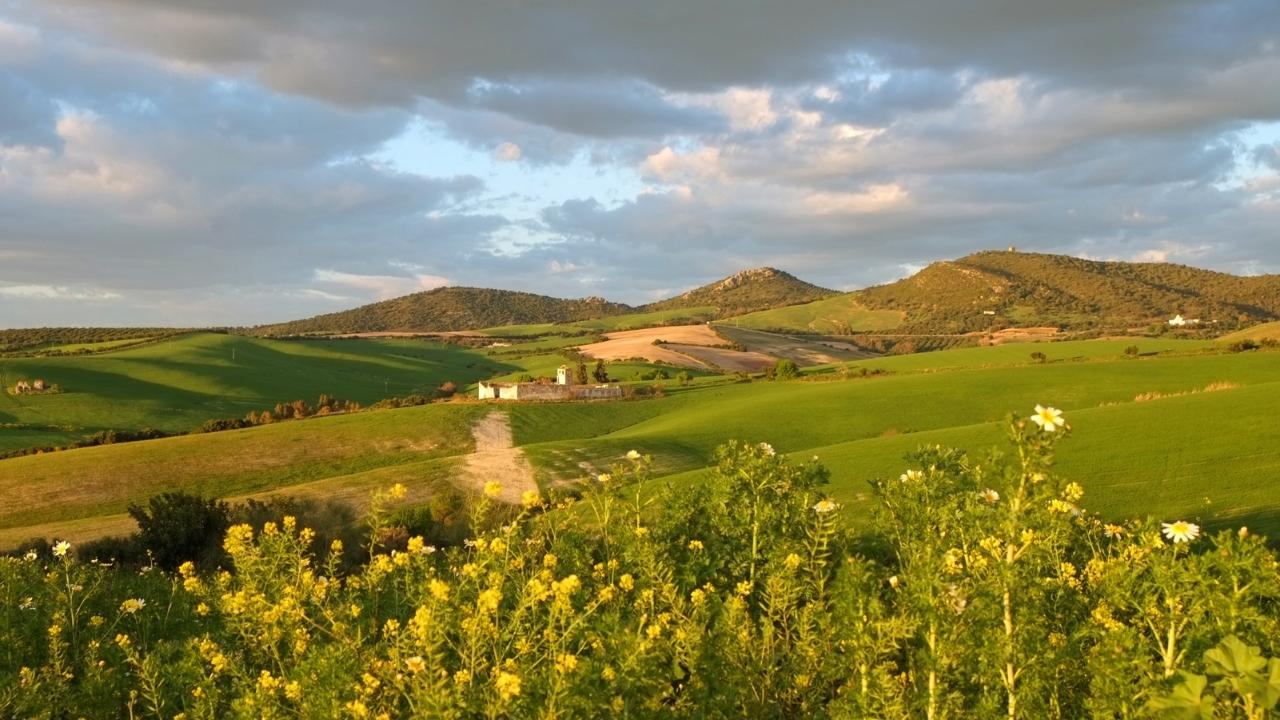 andalusia