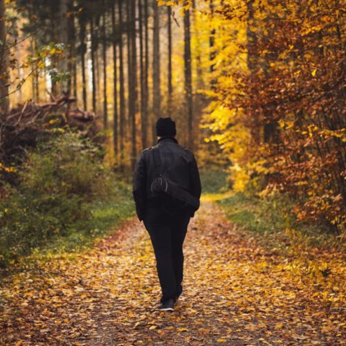 Building Healthy Sustainable Habits: Creating a Lifestyle That Lasts